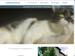 CatHotel24.pl - Hotel dla kotów