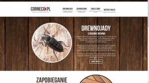 Corneco.pl - Skuteczne zwalczanie szkodników w drewnie