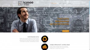 Kamee - Programy za zamówienie