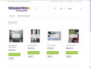 Shop.blossombox.pl - Kupujemy donice do ogrodu