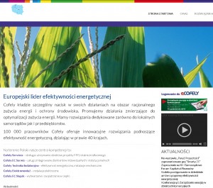Optymalizacja zużycia energii Cofely.pl