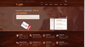 Bagelo.pl - Kampania SEO SEM
