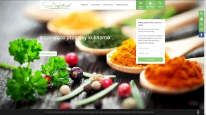 Szefpoleca.pl - Szef kuchni poleca najbardziej inspirujące i wyszukane przepisy w sieci