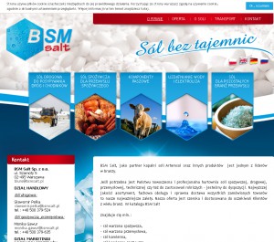 Bsmsalt.com.pl