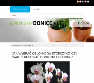 Jaką wybrać donicę - kupujemydonice.pl