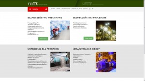Tessa.eu - Bezpieczeństwo procesowe