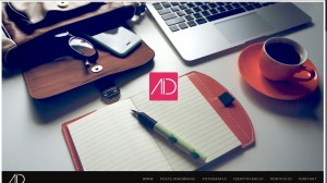 AID interactive agency