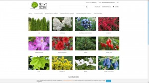 Krzewyozdobne.net - rośliny do ogrodu