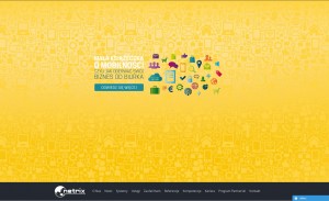 Netrix - Systemy informatyczne dla firm