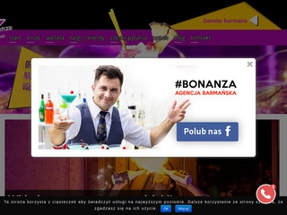 Barman na wesele - mobilnibarmani.pl