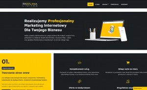 Pawlina Limited - tworzenie stron i sklepów internetowych