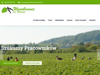 Winobraniefrancja.pl