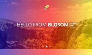blosom.it - Projektowanie stron internetowych oraz aplikacji