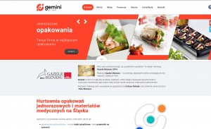 gemini-euro.pl