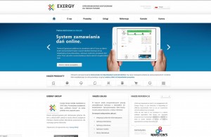 Exergy Group - tworzenie aplikacji mobilnych