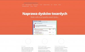 odzyskiwaniedanychzdyskutwardego.pl - Odzyskiwanie danych z dysku