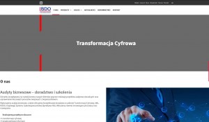 bdotechnology.pl - Audyty biznesowe – doradztwo i szkolenia