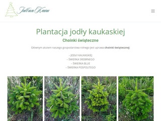 Plantacja drzewek na Pomorzu - choinki-swiateczne.pl