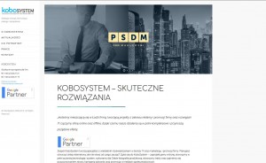 kobosystem.pl - Kampanie reklamowe Google Ads