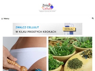 Zniszcz-Cellulit.pl - Portal