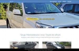 AutoPars - Skup mercedesów