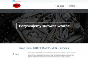 http://www.skupzlomumsk.pl