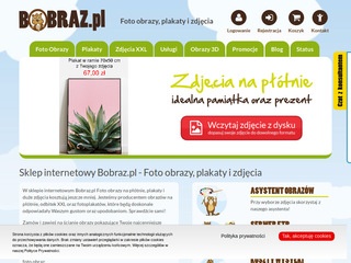 Obrazy na płótnie - bobraz.pl