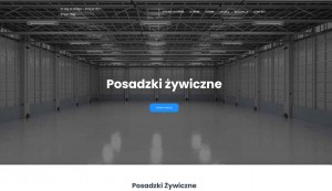 posadzkizywiczne.net.pl