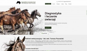 położnictwo koni - wet-tomaszpoznanski.pl