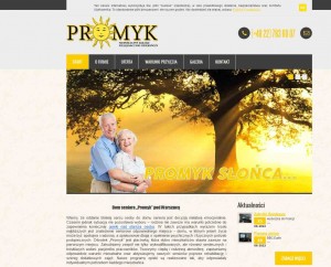 http://www.domopieki-promyk.pl