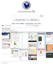 Browsershots - screenshots of websites in different browsers