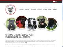 Dangerouse Smile FCI - Hodowla psów rasowych Stafforshire Bull Terrier
