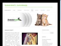 Dookoła KotaTV - strona o kotach i kocich filmach