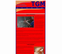TGM Usługi remontowe