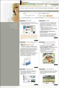 Internet Art 2000, projektowanie stron internetowych, pozycjonowanie, promocja w internecie, sklepy