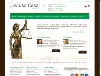 Kancelaria „Ilasz&Associates” - profesjonalny adwokat USA