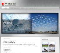 Montaż konstrukcji stalowych - www.makosz.com.pl