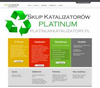 Platinum-katalizatory.pl
