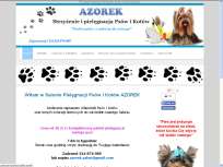 Azorek - Strzyżenie i pielęgnacja psów i kotów Katowice