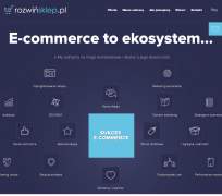 Rozwinsklep.pl - Szkolenia ecommerce