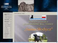 Samaslodycz.pl -Staffordshire bull terrier