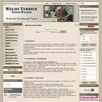 Hodowla Nozdrzecki Vigor Welsh Terrier Terier Walijski