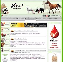 Viva - fundacja chroniąca konie, foki i inne zwierzęta