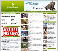 Zwierzęta do adopcji - Adopcje.org