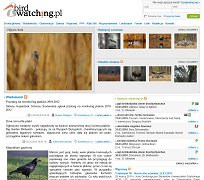 BirdWatching.pl - wortal przyrodniczy