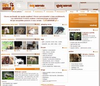 Cafe Animal dla miłośników zwierząt