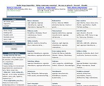 Katalog stron internetowych SEO