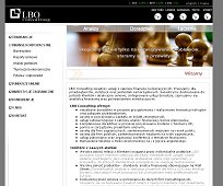 LBO Consulting - Doradcy finansowi