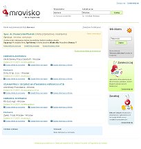 Oferty pracy - startup mrovisko.pl