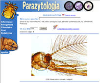 Parazytologia pasożyty zoonozy